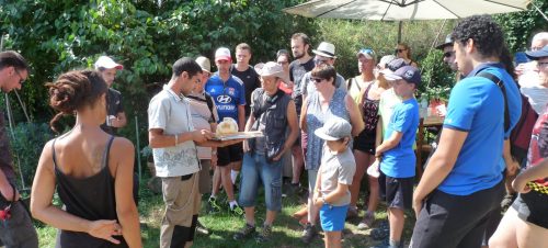 camping la chanterelle randonnee (13)