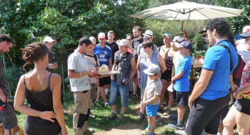 camping la chanterelle randonnee (13)